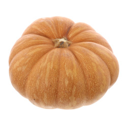 POTIRON MUSCADE BOX KG